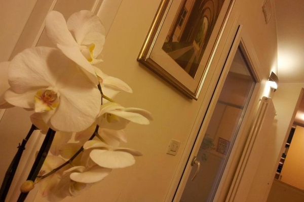 INgresso studio con orchidea